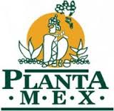 Logo - Miel de Agave Zapoteca.jpg